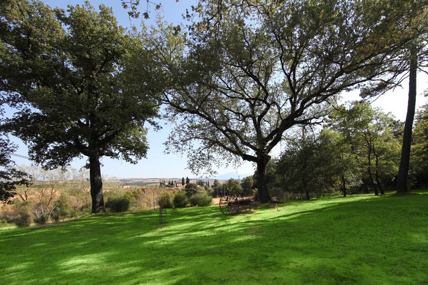 Agriturismo Torrenieri Da Alessandro 皮恩扎 外观 照片