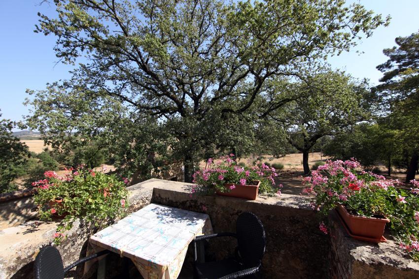 Agriturismo Torrenieri Da Alessandro 皮恩扎 外观 照片