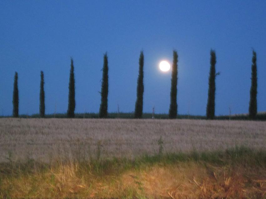 Agriturismo Torrenieri Da Alessandro 皮恩扎 外观 照片