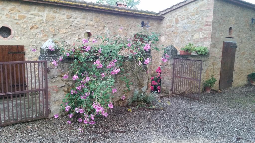Agriturismo Torrenieri Da Alessandro 皮恩扎 外观 照片